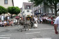 IMG_6441 (2) 